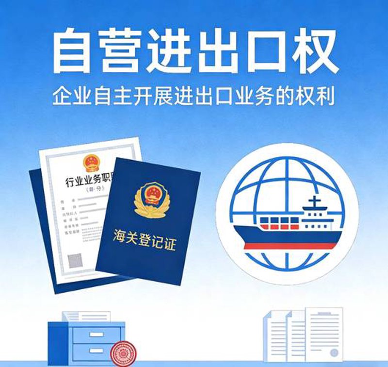 昆明进出口公司现状与动态